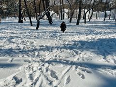 -长春市南湖公园