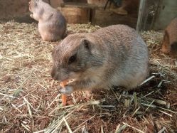 -Zoolung Zoolung动物主题公园(海信广场店)