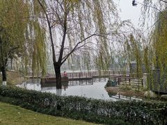 -成飞公园