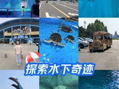 -泉城欧乐堡海洋极地世界