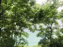 -三峡人家风景区