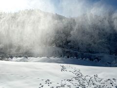 -秦岭终南山世界地质公园翠华山景区