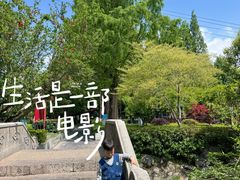 -郑和公园