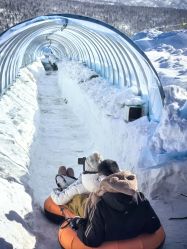 -大秃顶子山(雪谷店)