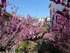 -观唐（国际）度假村温泉