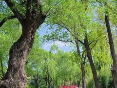 -皇家御河游(紫御湾码头)
