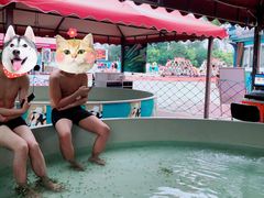 -欢乐水魔方水世界
