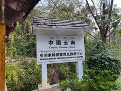-野象谷景区