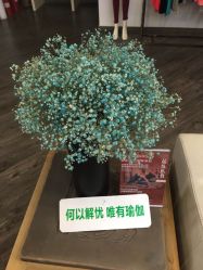 点击看大图 -陶然瑜伽馆