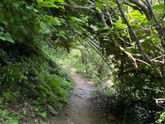 -西安祥峪森林公园