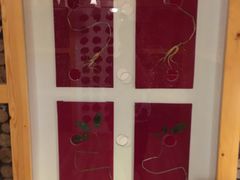 -菲拉拉漫温泉(东环路店)