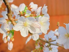 -龙美术馆西岸馆-停车场