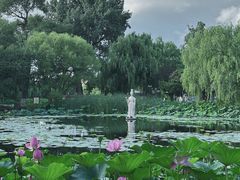 -北陵公园