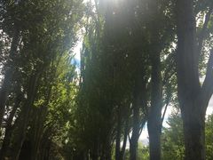 -青城公园