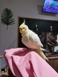 -Zoolung Zoolung动物主题公园(海信广场店)