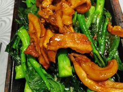 芥兰炒肥叉-粤·向群饭店(龙津东路总店)