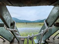 -腾冲北海湿地