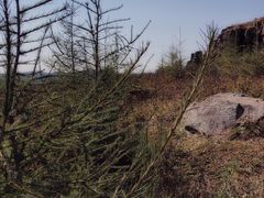 -草原天路(张北县)