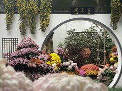 -杭州植物园