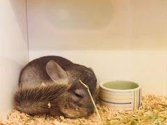 -龙猫仔乐园(惠福东路店)