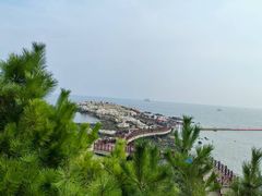 -养马岛旅游度假区