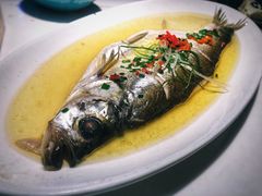 荷塘白水鱼-荷塘秋月·本帮江浙菜(国权路店)