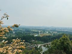 -上海辰山植物园