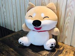-柴源莊·柴小宠柴犬咖啡