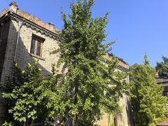 -青芝山风景名胜区