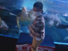 -烟台海昌鲸鲨海洋公园