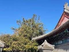 -有喜胶东小馆(太申祥和店)