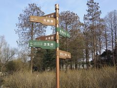 -上海滨江森林公园