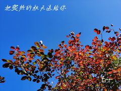 -龙洞风景区-藏龙涧