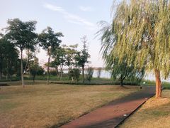 -海宁鹃湖公园