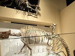 -国家自然博物馆