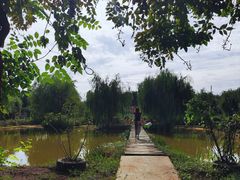 -同銮特种养殖场·龙虾垂钓