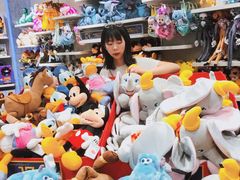 -巴黎迪士尼乐园