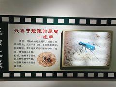 -上海昆虫博物馆