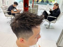 点击看大图 -金棕榈