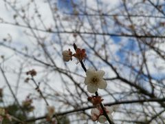 -广州市流溪河国家森林公园