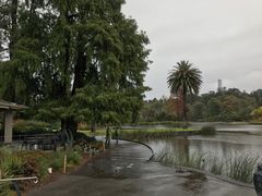 -墨尔本皇家植物园