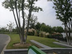 -上海长兴岛郊野公园