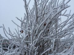 -南开大学滨海学院