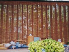 -桤木河湿地公园