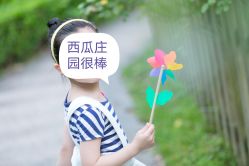 -西瓜庄园儿童摄影