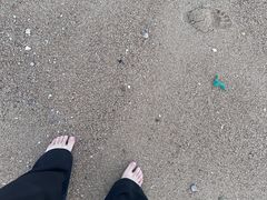 -集美学村