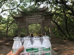 -灵岩山风景区