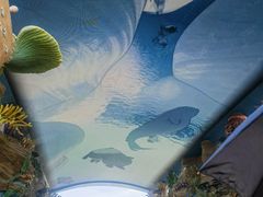 -珠海长隆海洋王国