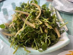 凉拌时令野菜-山里人家