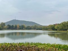 -大蜀山国家森林公园